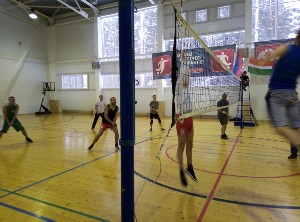 �����������